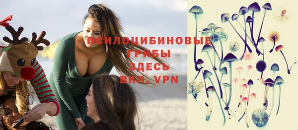 мет Горно-Алтайск