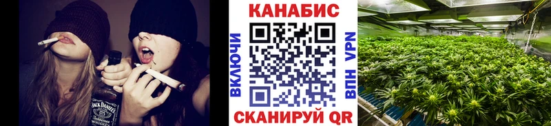 Каннабис конопля  Северск 